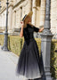 Golightly City Ombre Skirt - Black